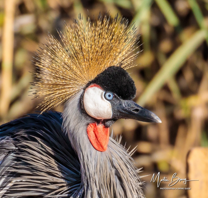 Crowned crane port